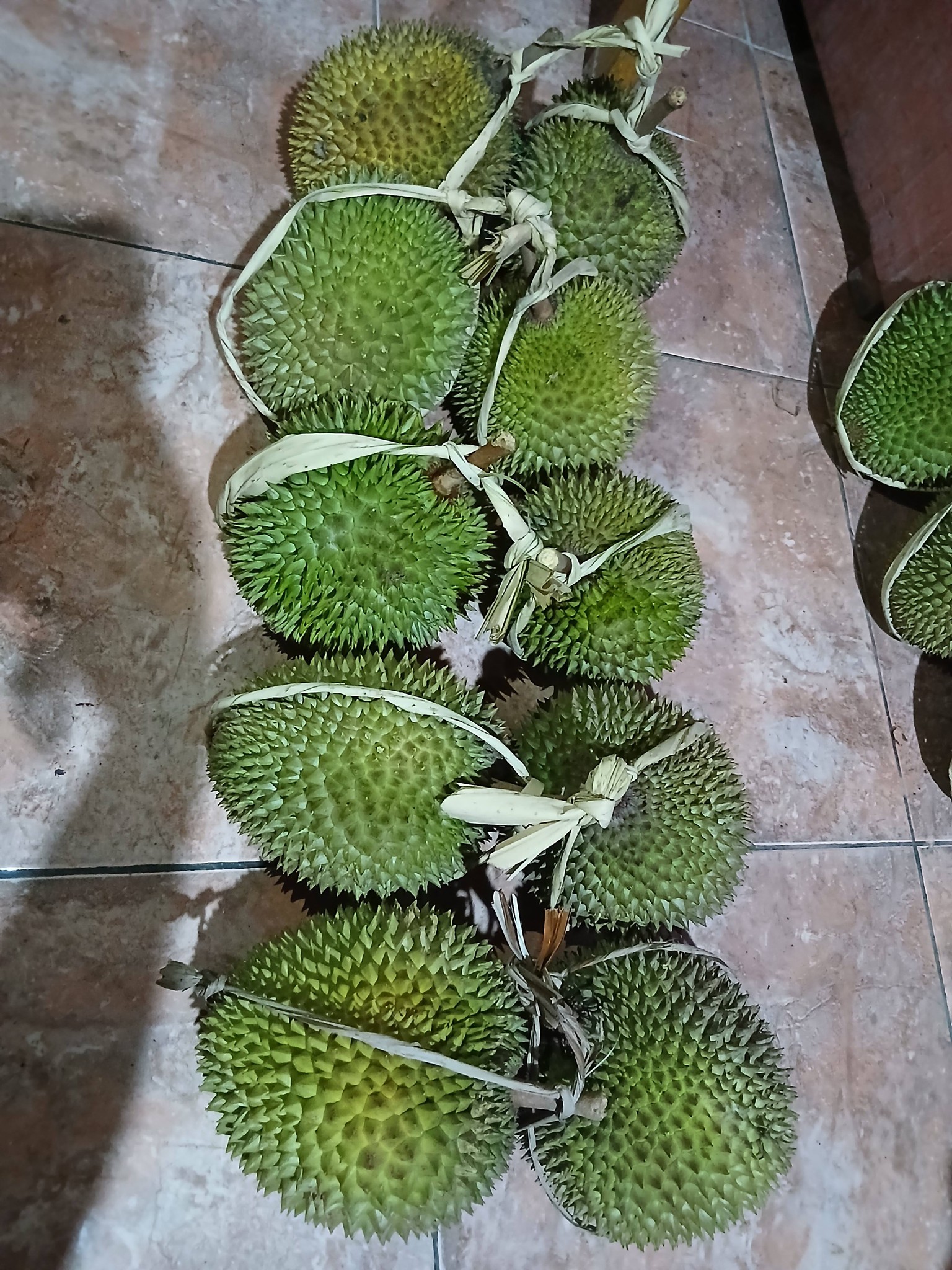 JUAL DURIAN MANIS & LEZAT, DIJAMIN PUAS!