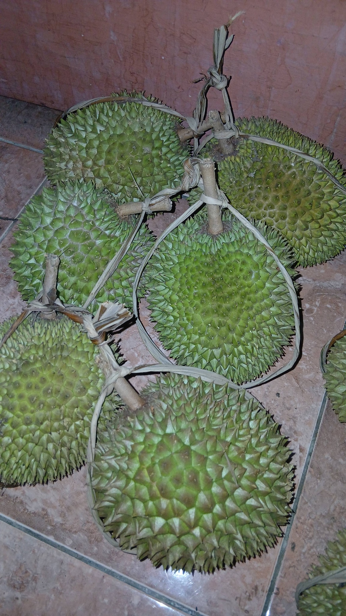 JUAL DURIAN MANIS & LEZAT, DIJAMIN PUAS!