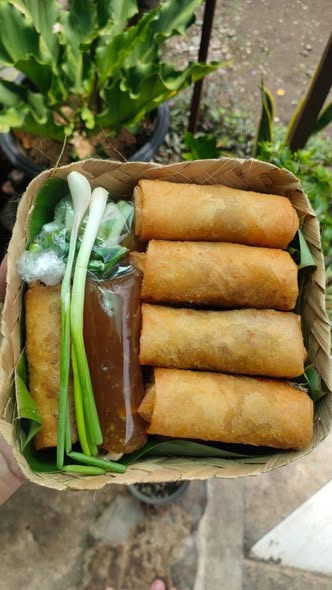JUAL LUMPIA GORENG RENYAH – ISI PADAT & SAUS NAGIH! 🥢🔥