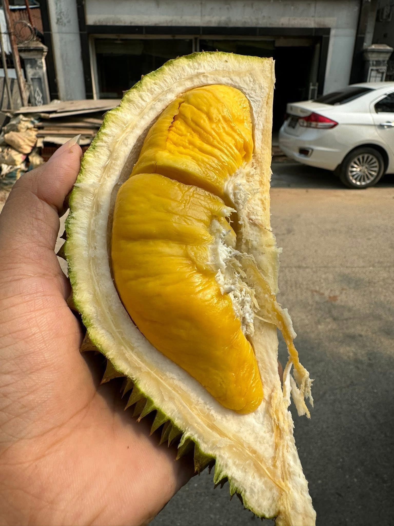 🔥 DURIAN SUPER PREMIUM – MANIS, LEMBUT & NAGIH! 🔥