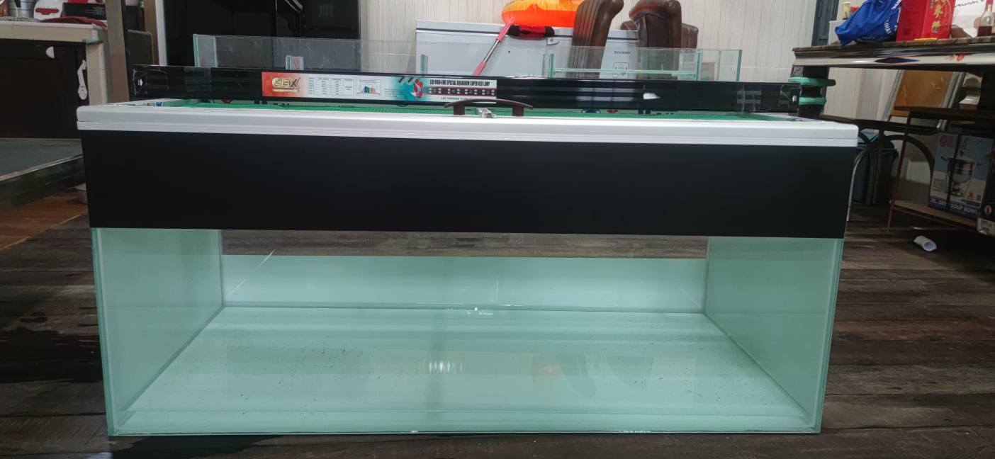 Aquarium Berkualitas Tinggi Siap Pakai – Cocok Aquascape & Ikan Hias!