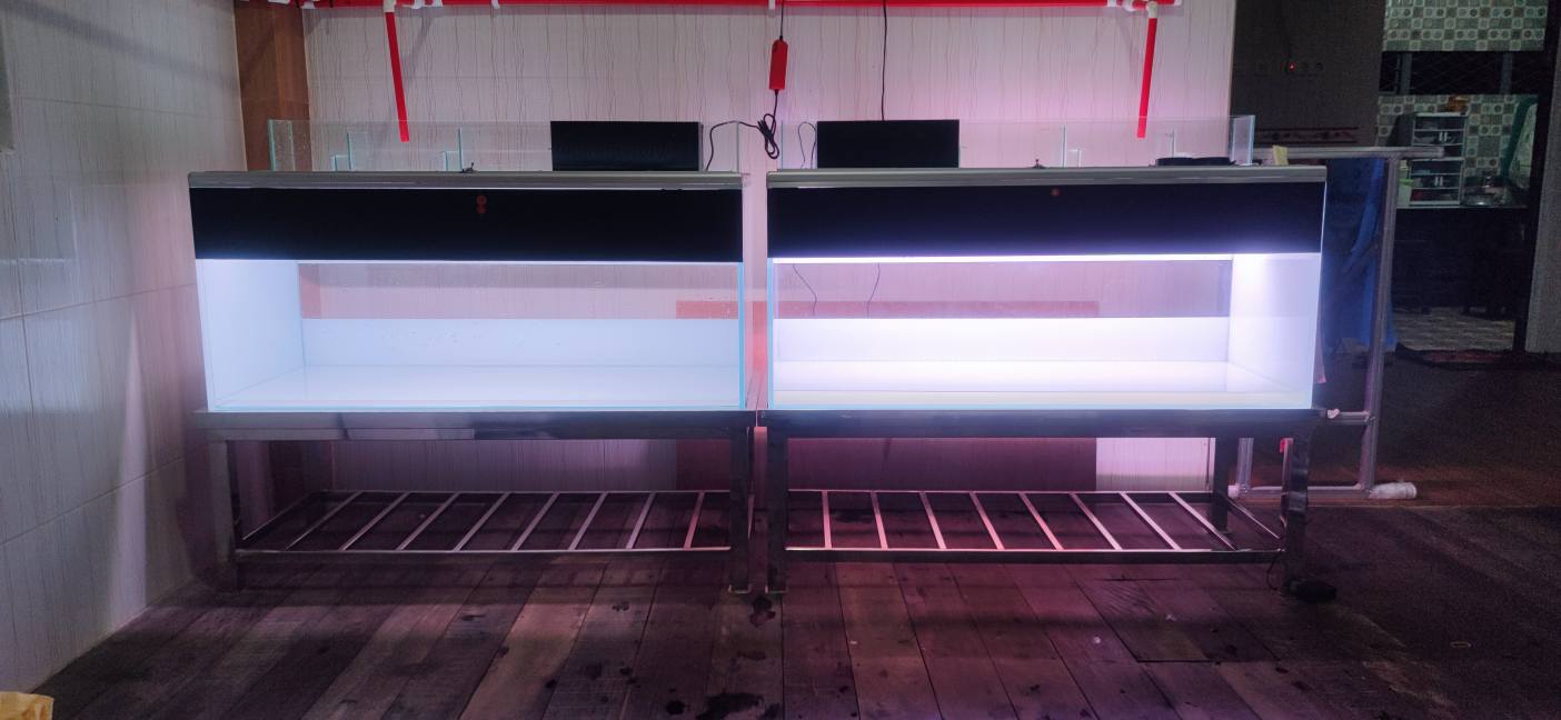 Aquarium Berkualitas Tinggi Siap Pakai – Cocok Aquascape & Ikan Hias!
