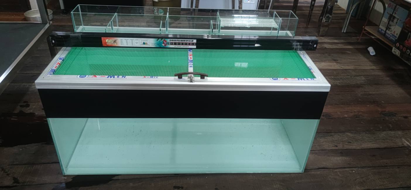 Aquarium Berkualitas Tinggi Siap Pakai – Cocok Aquascape & Ikan Hias!
