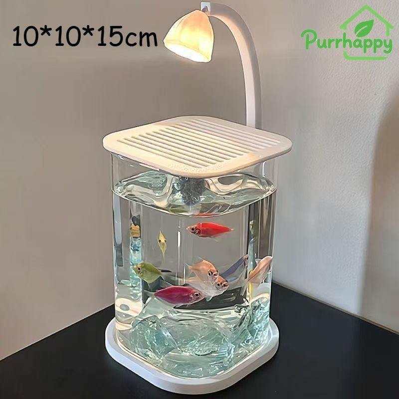 AQUARIUM MINI ESTETIK DENGAN LAMPU LED – DESAIN MODERN
