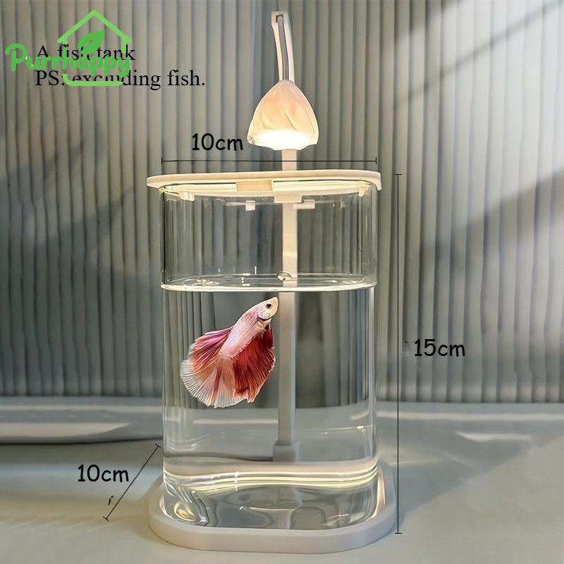 AQUARIUM MINI ESTETIK DENGAN LAMPU LED – DESAIN MODERN
