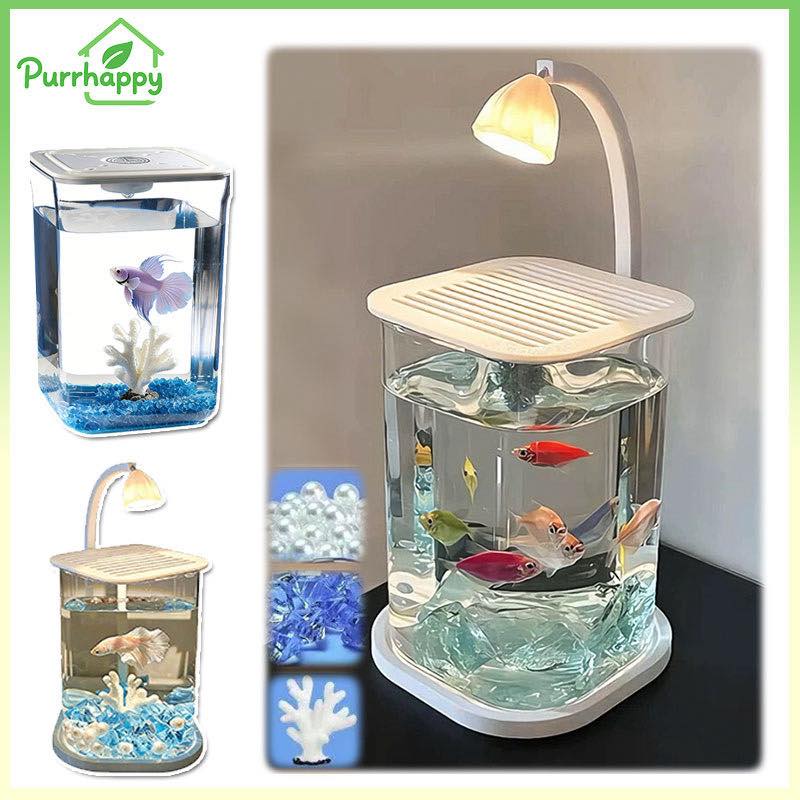 AQUARIUM MINI ESTETIK DENGAN LAMPU LED – DESAIN MODERN