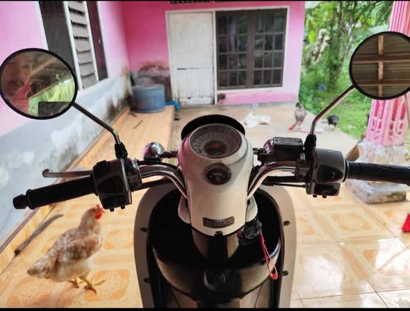 Jual Scoopy Karbu 2011