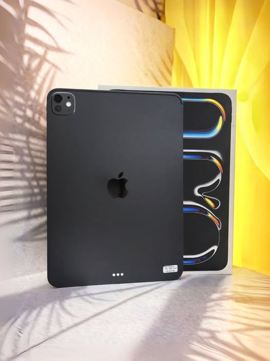 IPAD PRO M4 (WI-FI 256 GB)