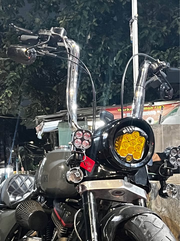Harley-Davidson Road King Classic 2002