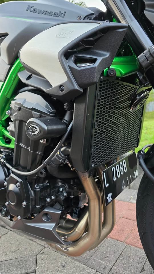 Kawasaki Z900 2025