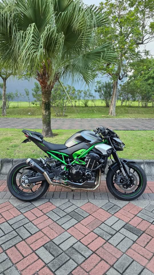 Kawasaki Z900 2025