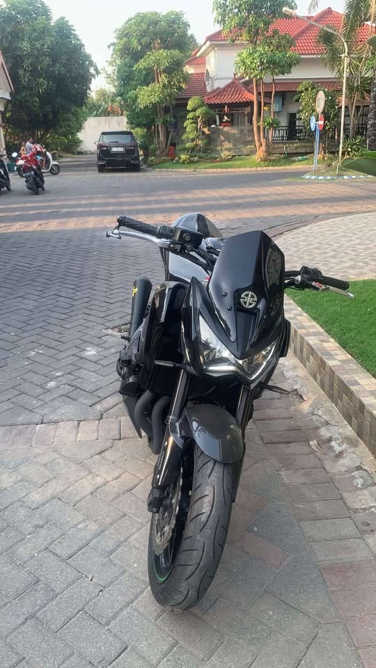 Kawasaki Z800 Hitam-Hijau (2014)