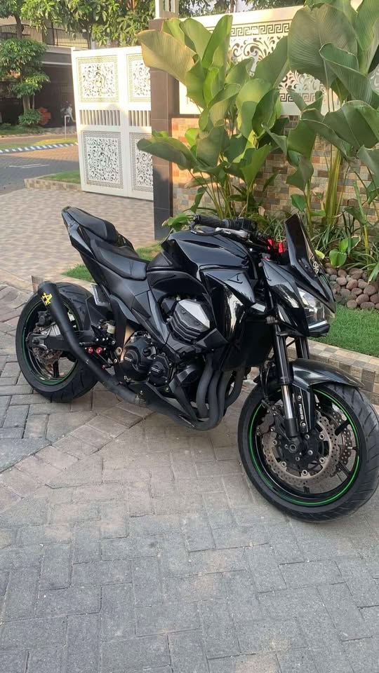 Kawasaki Z800 Hitam-Hijau (2014)