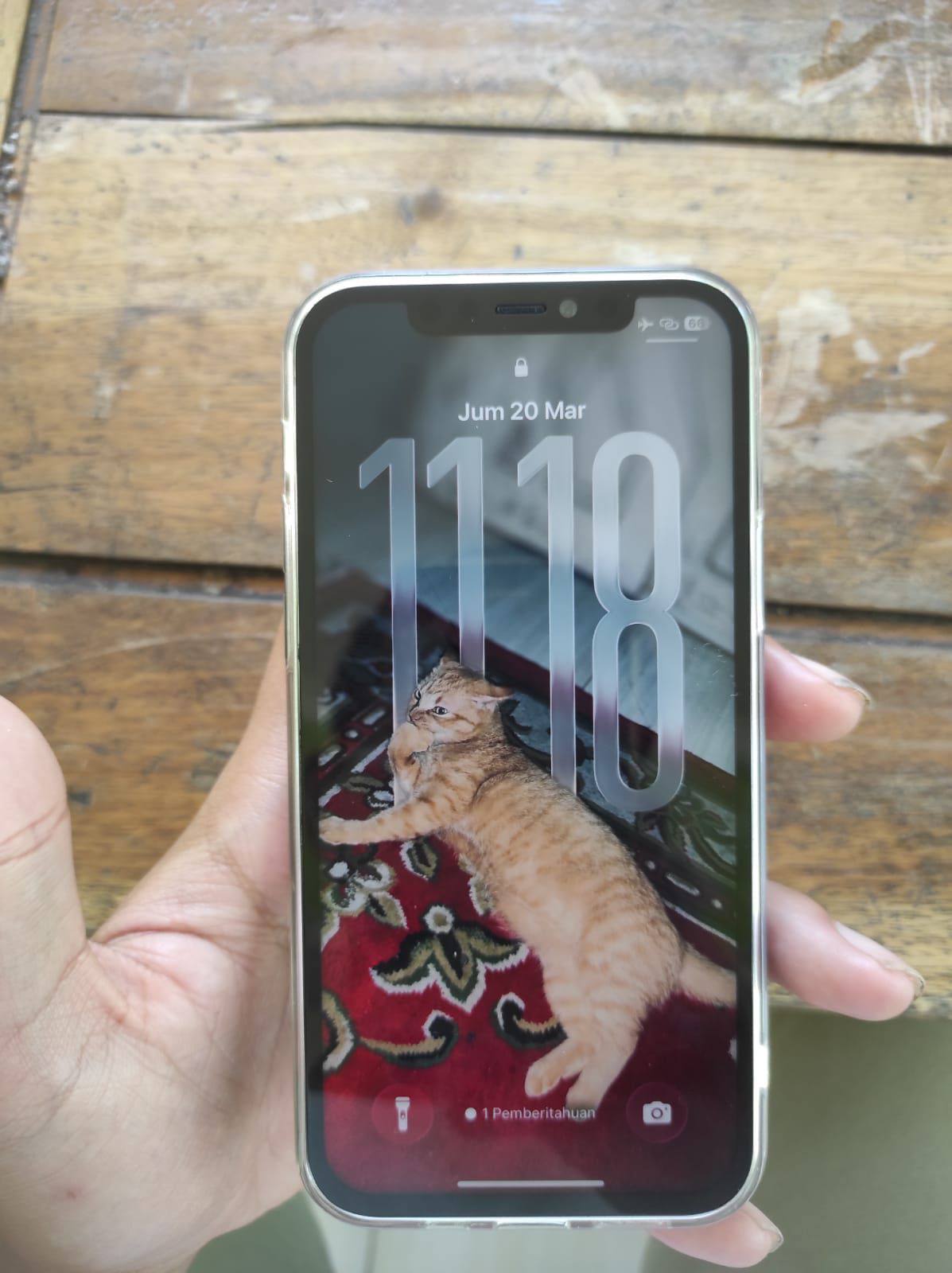 iPhone 12 Biru Mulus Fullset Siap Pakai!!