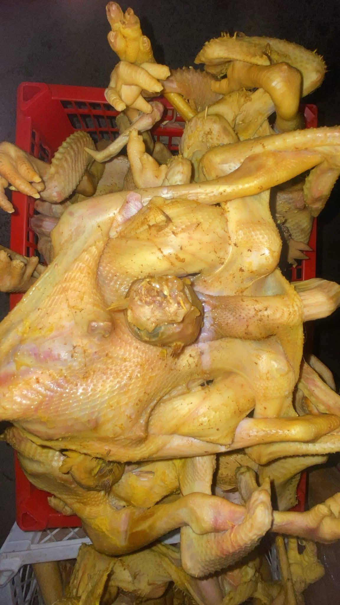 🔥 DIJUAL AYAM KAMPUNG MERAH SEGAR (DAGING PLEK) – SIAP MASAK! 🔥