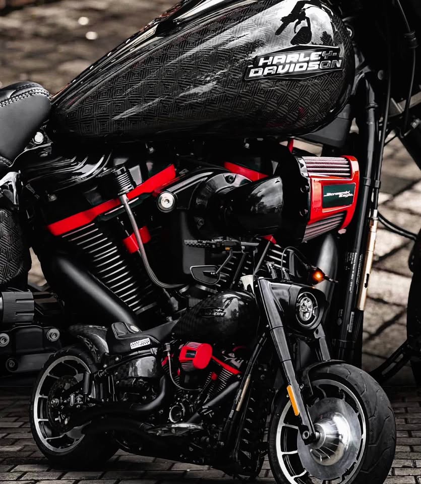 Harley Davidson Fatboy M8 114