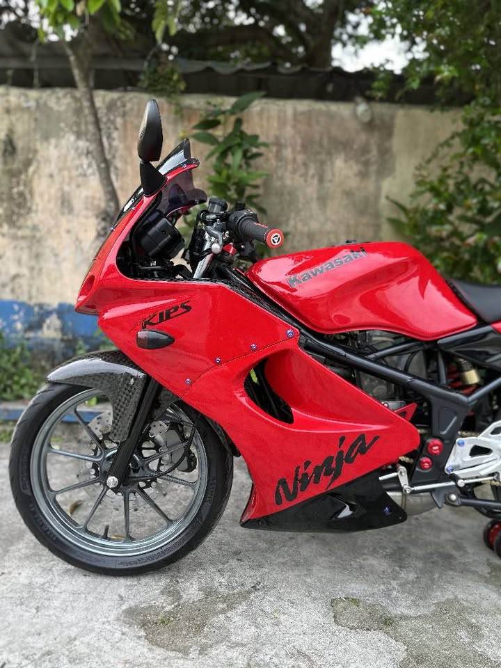 Kawasaki Ninja (RR old)