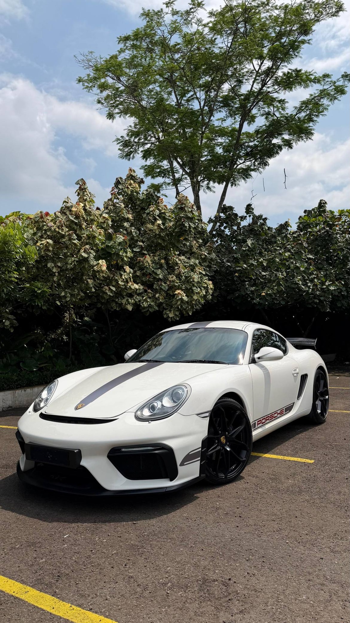 Porsche Cayman 987.2 Full Mods