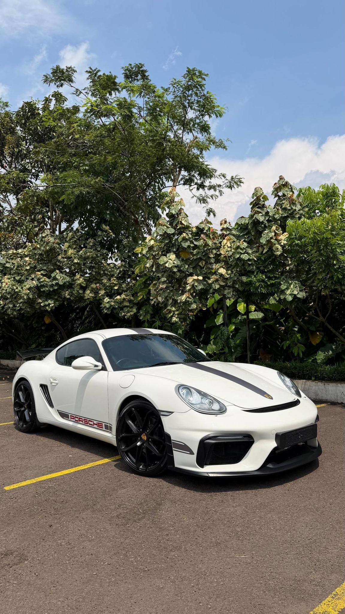 Porsche Cayman 987.2 Full Mods