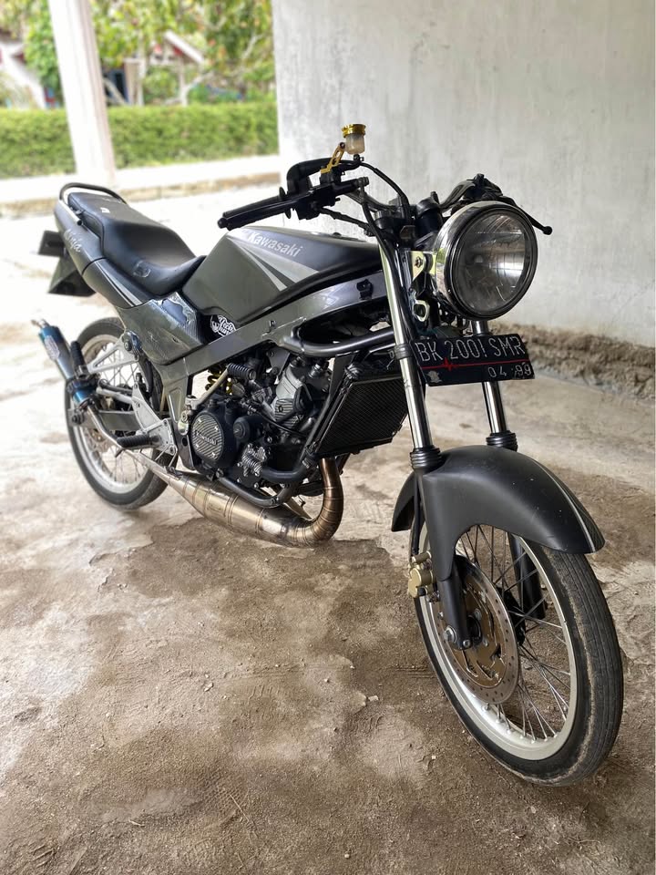 Basic ninja ss 2013