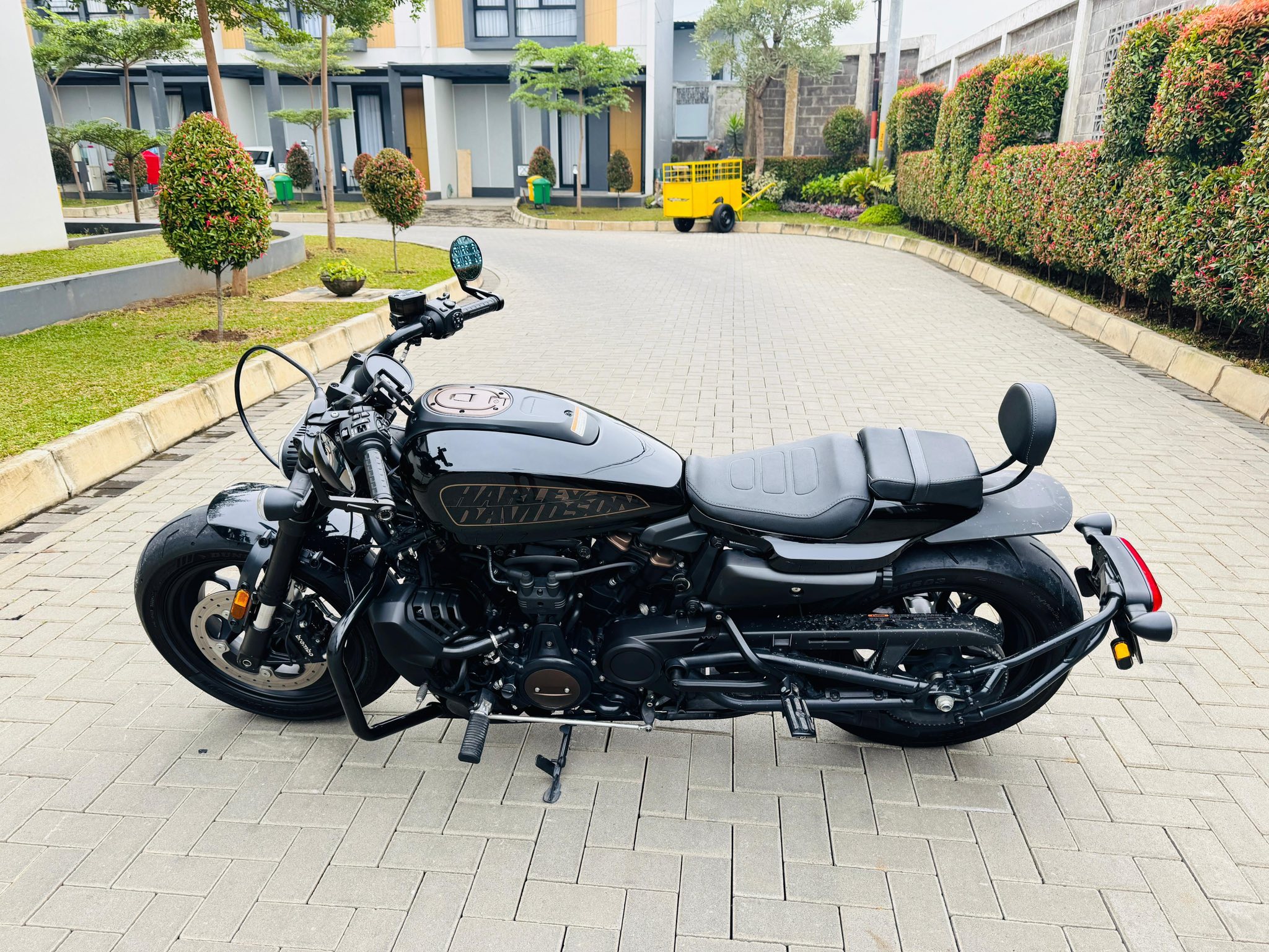 FOR SALE harley sportster s 2022