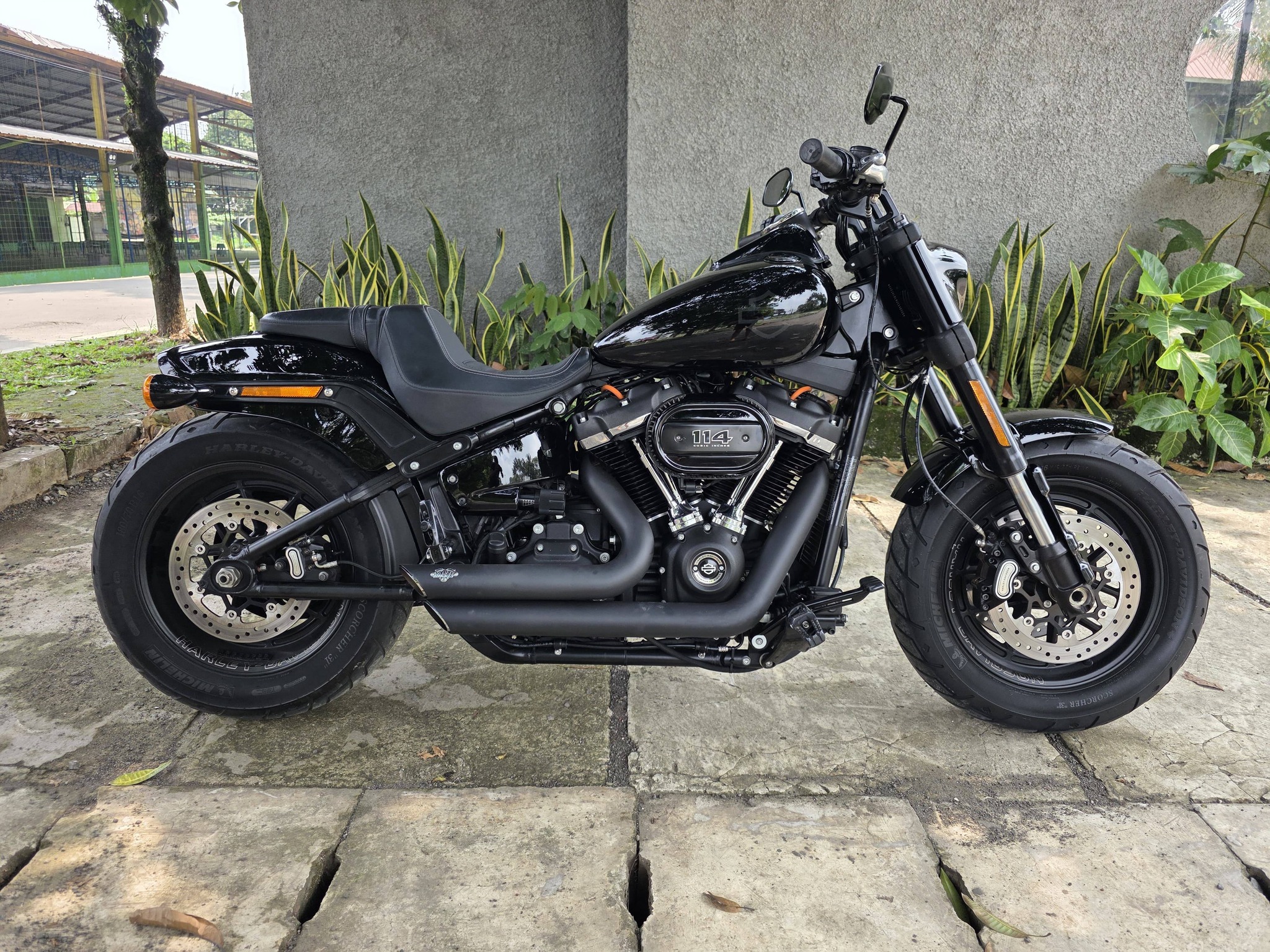 Harley Davidson Fatbob Vin 2018