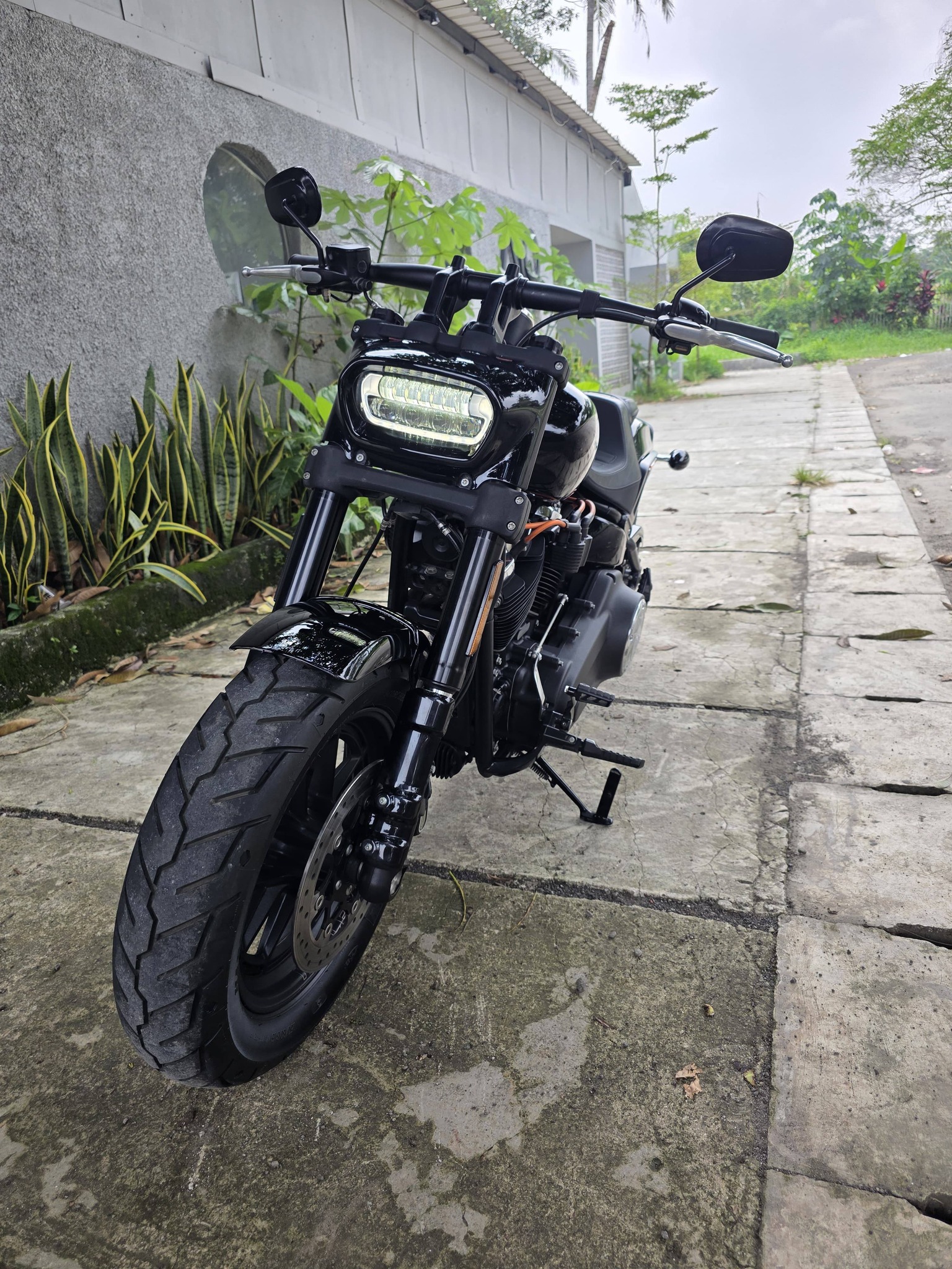 Harley Davidson Fatbob Vin 2018