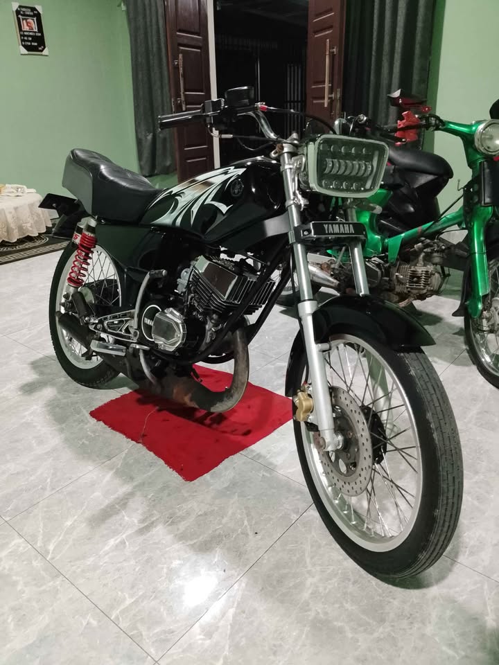 Rx king thn 95 plt BL