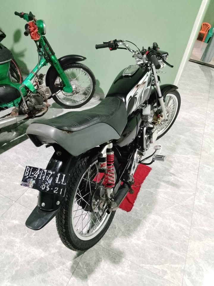 Rx king thn 95 plt BL