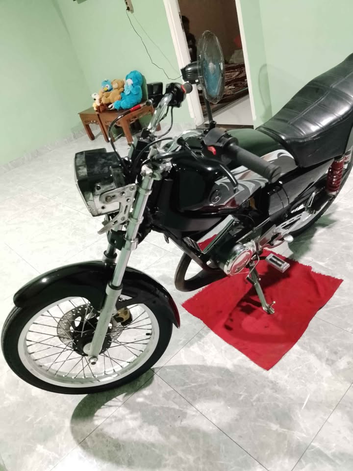 Rx king thn 95 plt BL