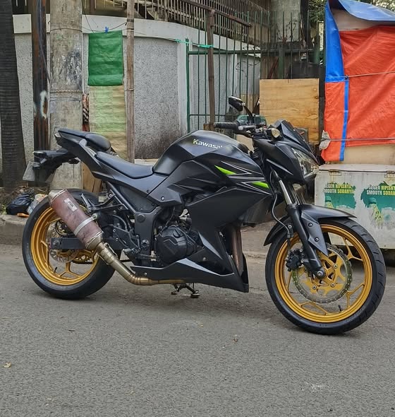 KAWASAKI Z250 2013