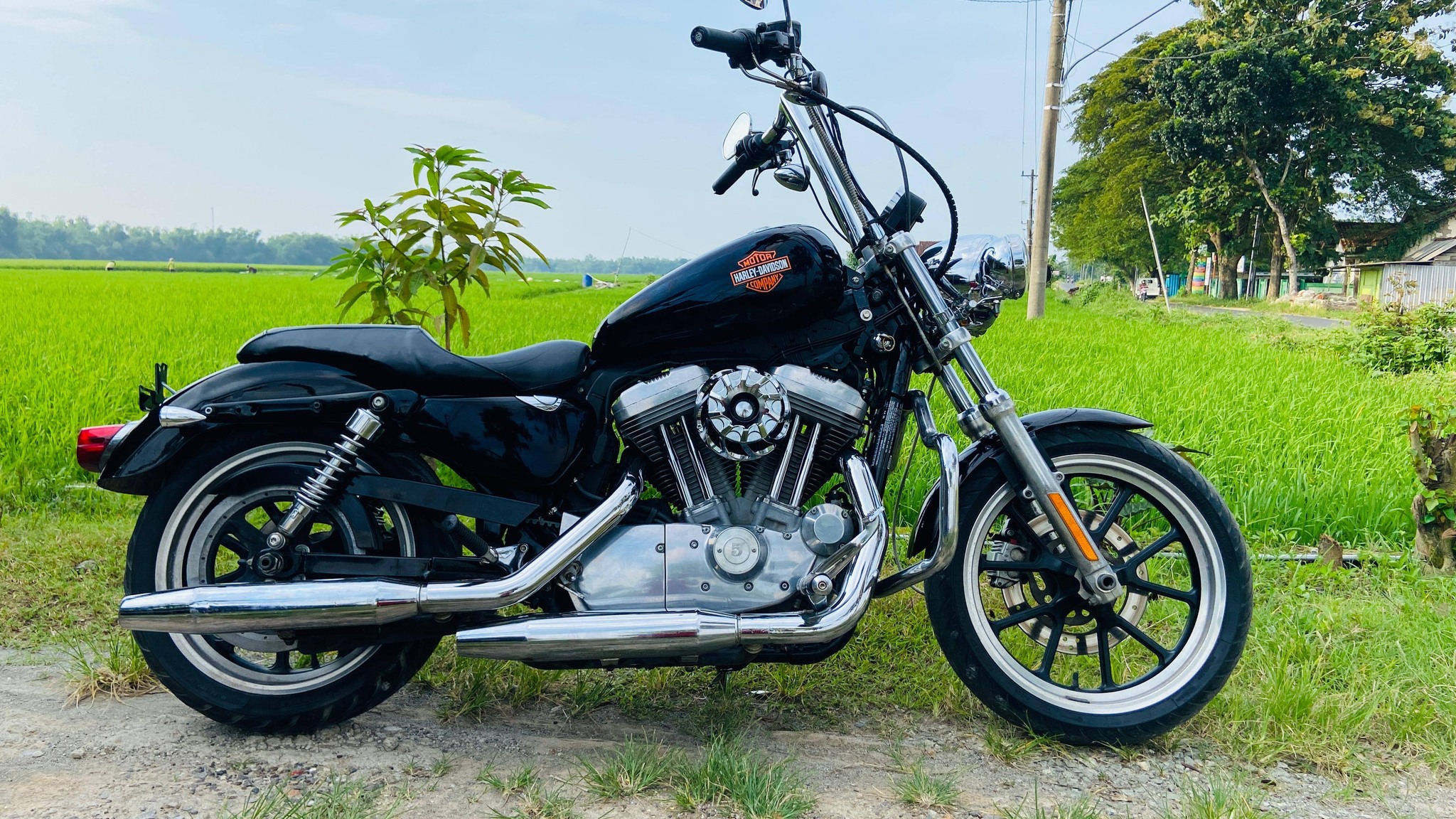 Sporster super low 883 2015