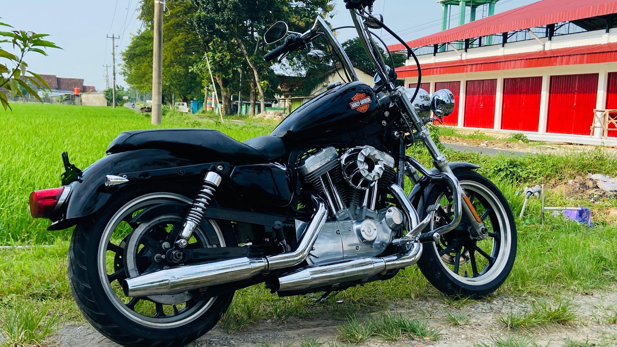 Sporster super low 883 2015