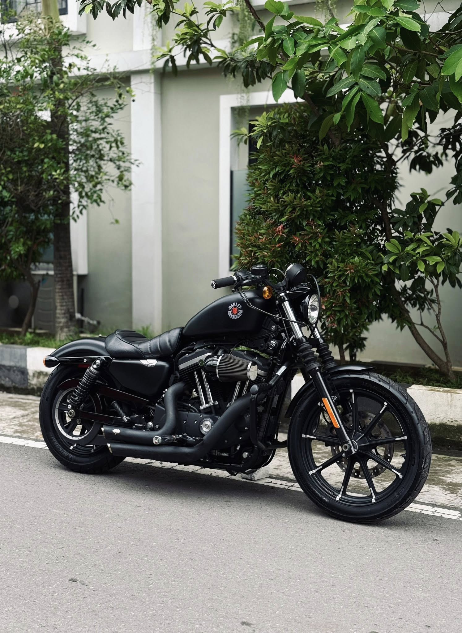 Harley Davidson Sportster iron tahun 2022