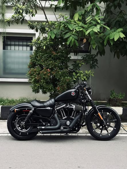Harley Davidson Sportster iron tahun 2022