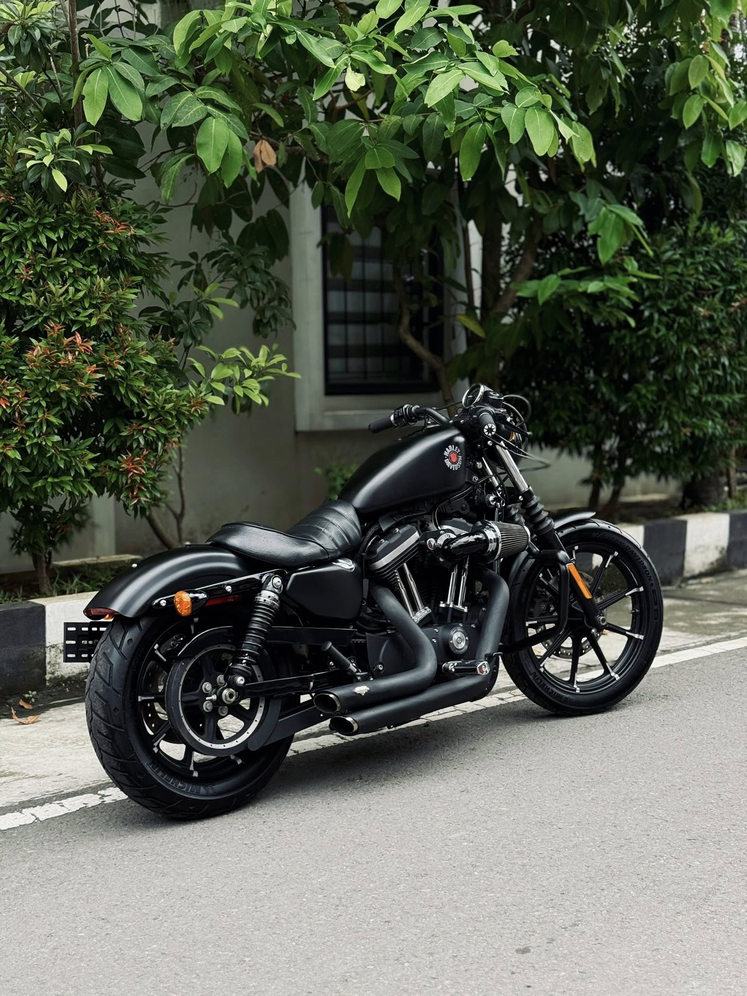 Harley Davidson Sportster iron tahun 2022