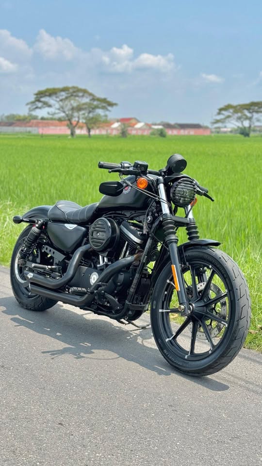 Harley Davidson Sportster 883 2021