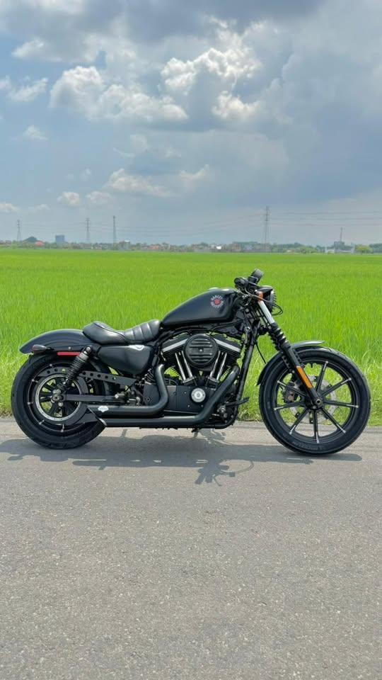 Harley Davidson Sportster 883 2021