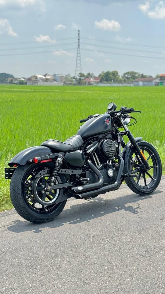 Harley Davidson Sportster 883 2021