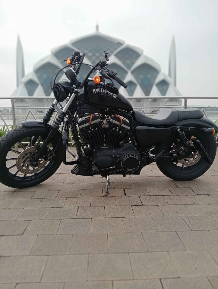 Sporter Iron 883 ' 2014