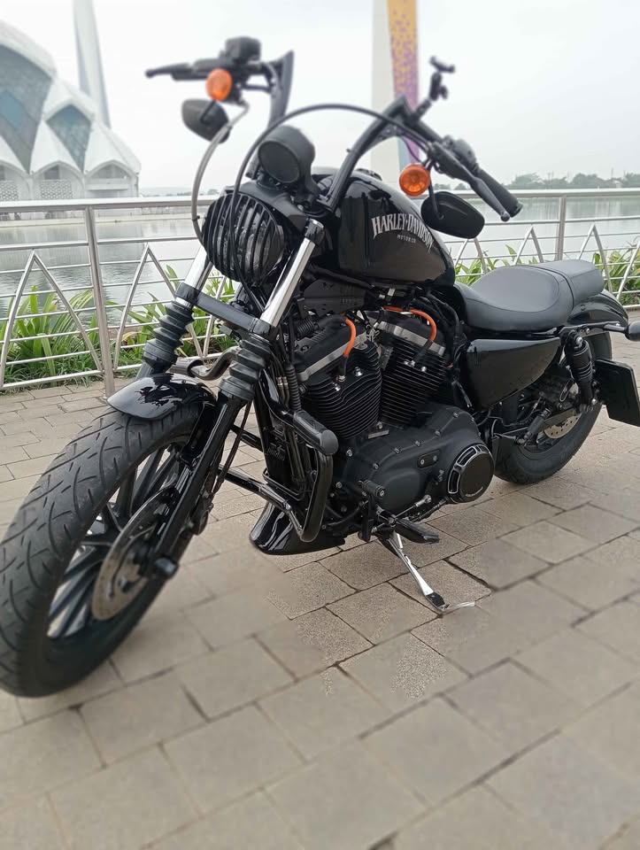 Sporter Iron 883 ' 2014