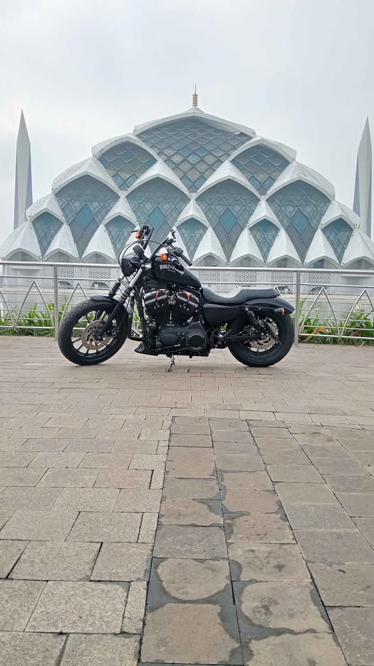 Sporter Iron 883 ' 2014