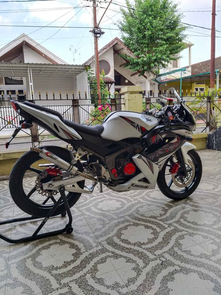 ninja RR new SE 2013.