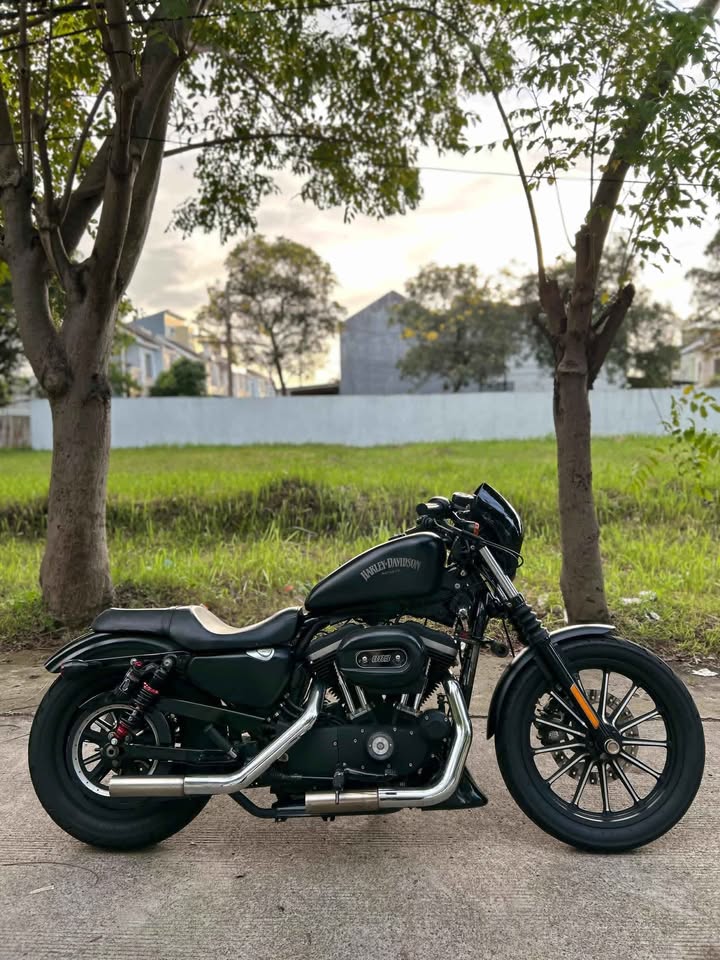 Harley davidson Sportster iron 883 2014