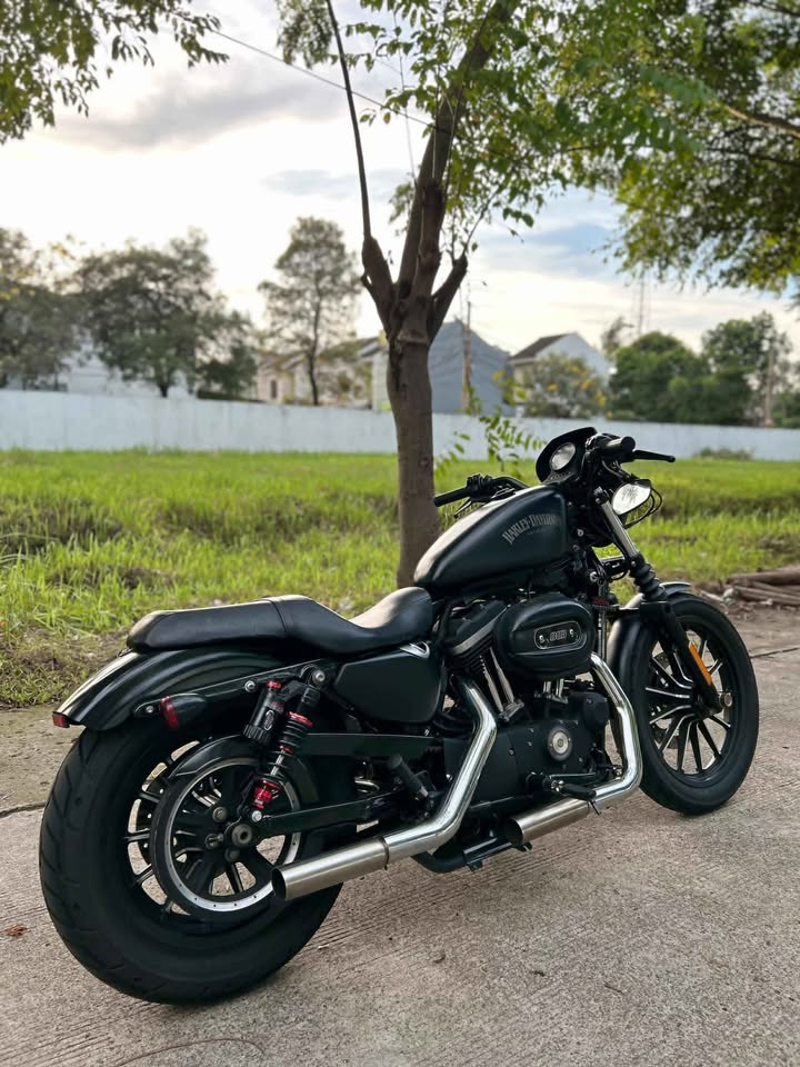 Harley davidson Sportster iron 883 2014