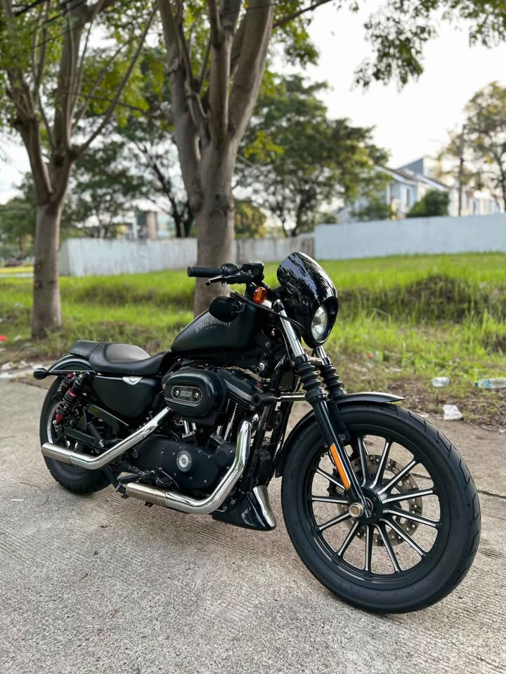 Harley davidson Sportster iron 883 2014