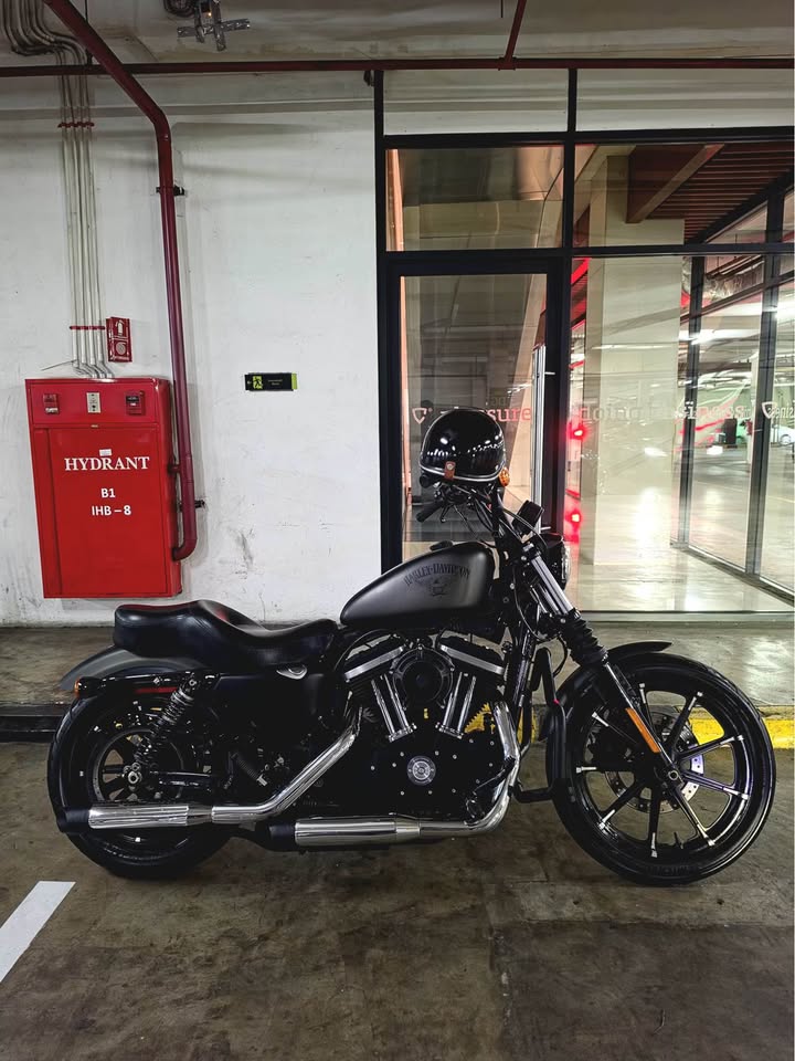 Harley Davidson Sportster Iron 883 2016