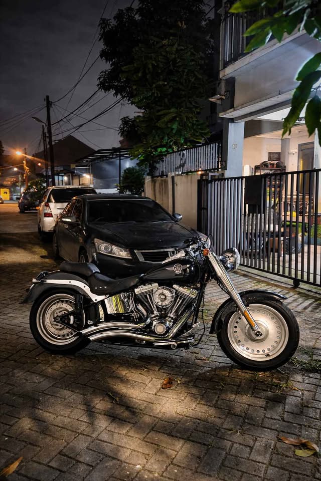 Harley-Davidson Softail Fat Boy 2009