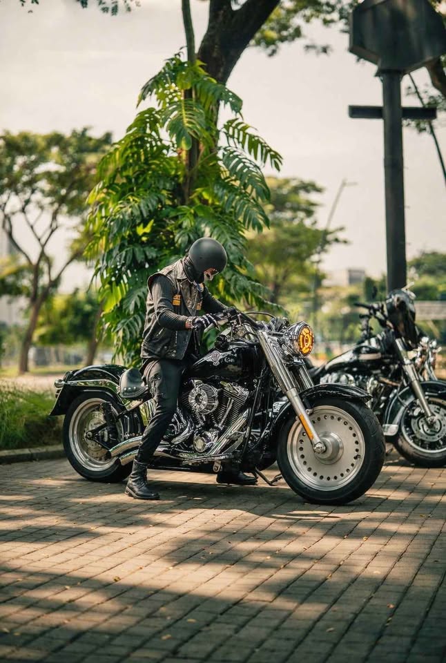 Harley-Davidson Softail Fat Boy 2009