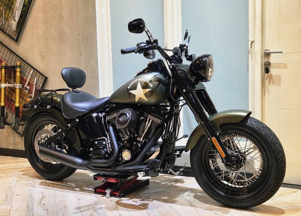 2017 Harley-Davidson Softail